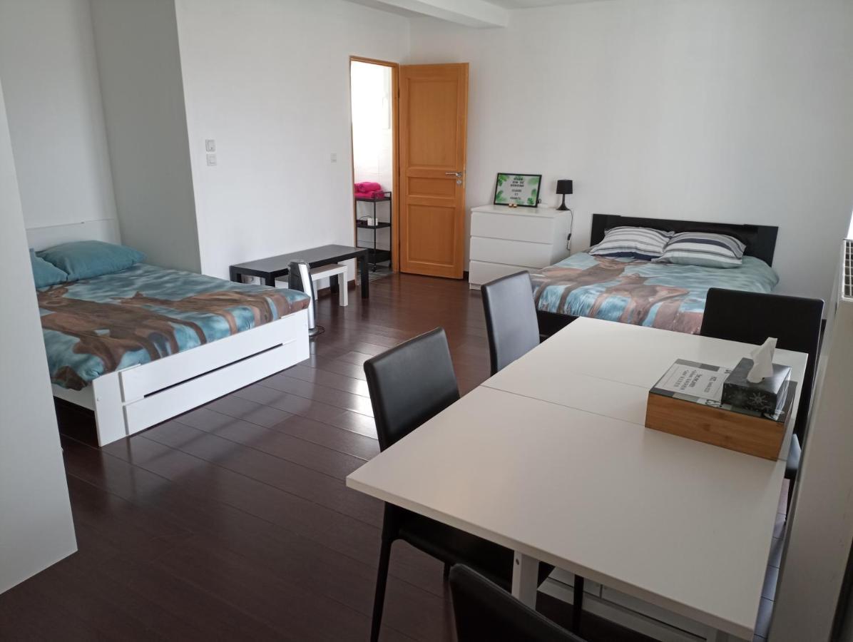 Studio indépendant 40m² avec jardin privé Hauteville-Lompnes Esterno foto